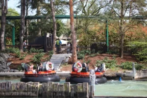 Sortie Europa Park, photo 19