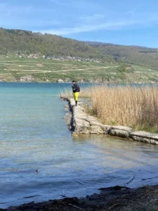 Balade à vélo pique nique dans la région, photo 4