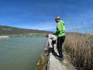 Balade à vélo pique nique dans la région, photo 9