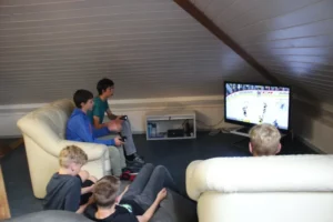 Tournoi NHL sur PS4 à Malleray, photo 4