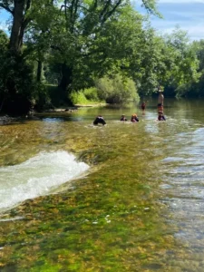 Sortie en canoë et pique nique au bord du Doubs, photo 17