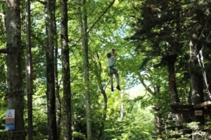 Accrobranche à Chaumont pique nique, photo 12