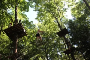 Accrobranche à Chaumont pique nique, photo 15
