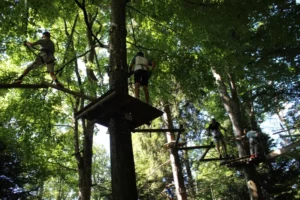 Accrobranche à Chaumont pique nique, photo 19