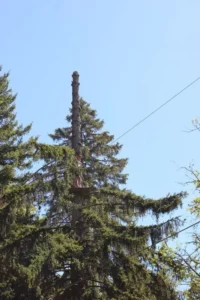 Accrobranche à Chaumont pique nique, photo 21
