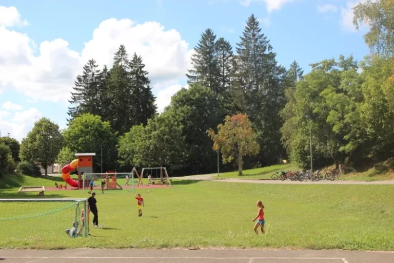 Animation mobile à Lajoux, photo 4