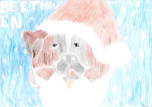 Concours de dessin pour la carte de voeux de l'AJR, photo 5