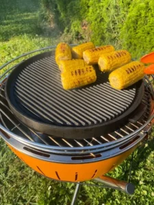 Soirée Grillades dans le jardin à Malleray, photo 7