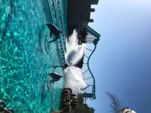 Sortie à Europapark, photo 8