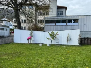 Préparation Fête du Printemps, photo 12