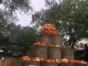 Sortie à Europapark, photo 18