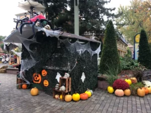 Sortie à Europapark, photo 19