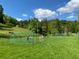 Animation mobile Le Fuet, photo 10