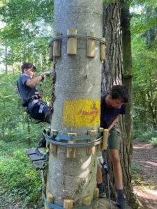 Sortie Accrobranche à l'aventure Jura Parc de Porrentruy, photo 3