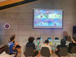 Tournoi Mariokart 8 organisé par Axel et Anes à Malleray, photo 7