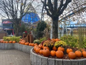 Sortie Europapark, photo 13