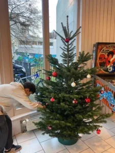 Décoration des locaux pour les fêtes de fin d'année, photo 3