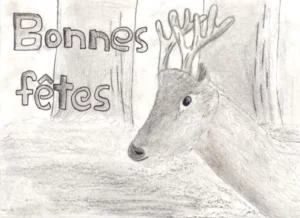 Concours de dessin pour la carte de voeux, photo 40